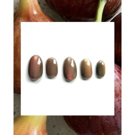 [Self-made] Fig magnetic gel nail - Short Oval Tips / [자체제작] 무화과 자석젤 nail - 숏오발 팁