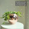 SCANDINORDICA SCANDINORDICA Disco Ball Planter C Value Package: Mirror Disco