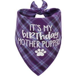 Dog Birthday Bandana, Birthday Boy Puppy Bandana for Small Medium Large Dogs