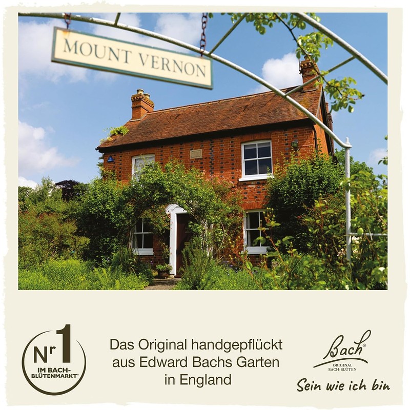 Original Bach flower drops.