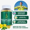 Mullein Gummies for Respiratory Wellness | 1000mg Per Serving |