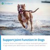 PRN PRN Pharmacal Duralactin Canine Joint Plus - Joint Health