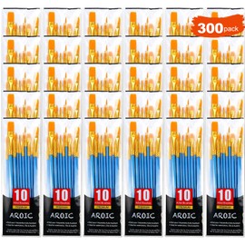 AROIC Painting Brush Set, 30 Packs/300 Pieces, Nylon Brush Head, Suitable for Oil and Watercolor, Perfect Suit of Art Painting, Best Present for Painting Enthusiasts
