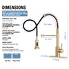 DJS Kitchen Faucets with Pull Down Sprayer Brushed Gold -Single