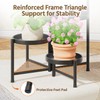 LASZOLA 5 Tier Large Plant Stand Indoor Tall with 10