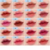 FORENCOS Tattoo Claire Velvet Tint 4g, Color:37 Black Cherry