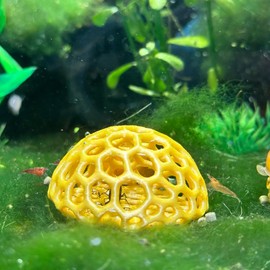 CTWPets Shrimp Dome Hide - Aquarium Cherry Shrimp Hide - CTWPets Cherry Shimpe Hide (Black)