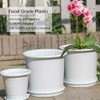Meshpot 16cm Plastic Orchid Pots With Holes and Saucers -