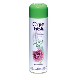 Carpet Fresh Quick-Dry Foam, Morning Rain, 10.5 OZ Morning Rain 10.5 Ounce (Pack of 1)