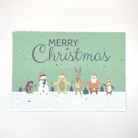 Bare & Co. - Seeded Christmas Card - Santa and Friends