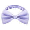 Alizeal Mens Adjustable Pre-tied Solid Bow Tie, lilac