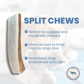 The Proper Hound Split Elk Antler Dog Chew - Premium Elk Antlers - Large - Best for Dogs 40-65 pounds