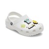 Crocs Jibbitz Packs for Shoes, and Sandals - Beautiful Accessory,