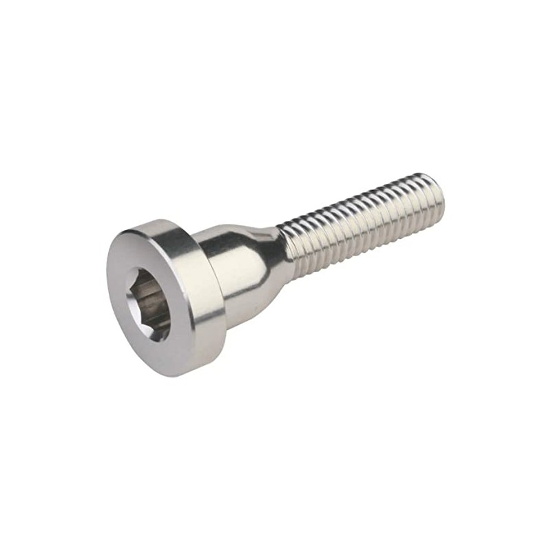 Burgtec Top Cap Bolt Rhodium Silver