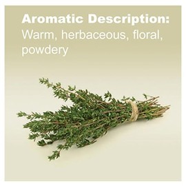 doTERRA Thyme 15 ml by doTERRA