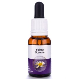Living Essences Yellow Boronia 100ml