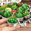 GIFTEXPRESS 18 Pcs Succulent Cactus Candles No Repeat Style, Delicate
