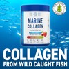 Applied Nutrition Marine Collagen Powder - Hydrolysed Collagen Protein, Healthy