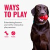 KONG - Squeezz Ball - Strong Squeaky Dog Toy, Bounces