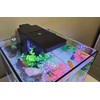Level One Pets - Duo 2 in 1 Submersible Aquarium