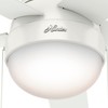 Hunter 46 inch Indoor Ceiling Fan with LED Light -