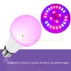 Grow Light Bulbs for Indoor Plants - Full Spectrum E26