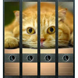 File Art AJ449 with Folder Spine Labels