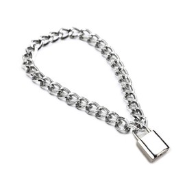 Succuba Padlock Necklace Metal Chain Collar Choker Heart Lock Necklace with Key and Box for Women, Men and Pet (16 to 22 Inches) (C, 22)