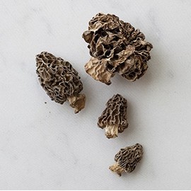 Northwest Wild Foods Dried Morel Mushrooms - Raw Handpicked Sundried of Pacific Northwest (8oz)