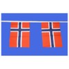 Norway Bunting 9metres/30ft Long with 30 Flags