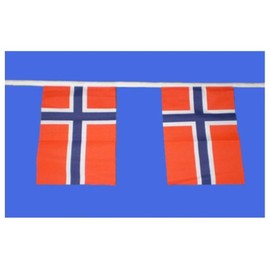 Norway Bunting 9metres/30ft Long with 30 Flags