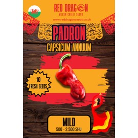 Padron Chilli Seeds - Padron Pepper Seeds
