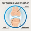 Dr. Böhm Cartilage & Bones: For Support for Cartilage and