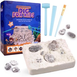 HOTUT Gemstone Dig Kit, 9 PCS Gemstones Excavation Kits For Kids, Gem Stones Digging Kit Set, Geology Educational Gifts, Educational Science Kits for Boys and Girls