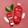 Garnier Body Repair Body Lotion Dry Skin, 3600540299277, Maple, 400