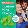 Plackers® Micro Line® Floss Picks - Intense Mint, Floss Fiber