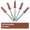 SKIR'CO Pack of 350 blind rivets painted 4.0 x 14