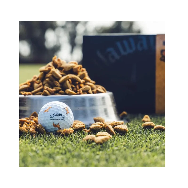 Callaway ONE Callaway Chrome Tour GOLDEN RETRIEVER Let the Big