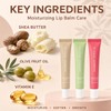 5 Pack Summer Special Lip Balm Butter Set, Tinted Lip