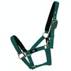 Hy Fieldsafe Headcollar - Green - Pony - Horse Equestrian