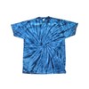 Tie-Dye Adult 5.4 oz. 100% Cotton Spider T-Shirt 3XL SPIDER
