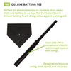 Champion Sports Champion Sports Deluxe Batting Tee - Mounted Adjustable