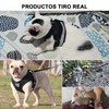 DOXLIO Correa Gato, Arnés y Correa para Gatos, Ajustable Transpirable