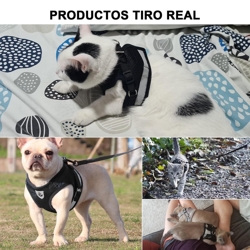 DOXLIO Correa Gato, Arnés y Correa para Gatos, Ajustable Transpirable
