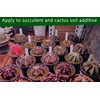 Horticultural Akadama Soil - Cactus Bonsai Succulent Soil Additive for