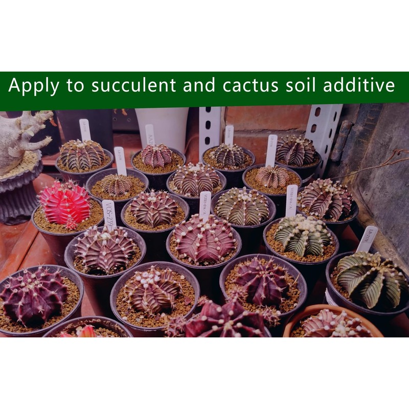 Horticultural Akadama Soil - Cactus Bonsai Succulent Soil Additive for