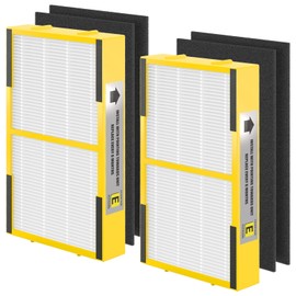 SAKEGDY FLT4100 HEPA Filter E Replacement Compatible with Ge-Guardian AC4100, AC4100CA AC4150BL, AC4150PCA, AC4150P Pure Air Cleaner Purifiers, FLT4100 Replacement Filter E, 2 HEPA+4 Carbon Filter