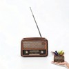 Milnnie 4.7 Inch Unique Succulent Pots - Retro Radio Shaped