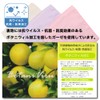 Cluster Kids Handkerchief [Completely Made in Japan] 100% Cotton Gauze