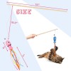 5PACK Cat Wand Toys Interactive Cat Toys with Catnip Fish